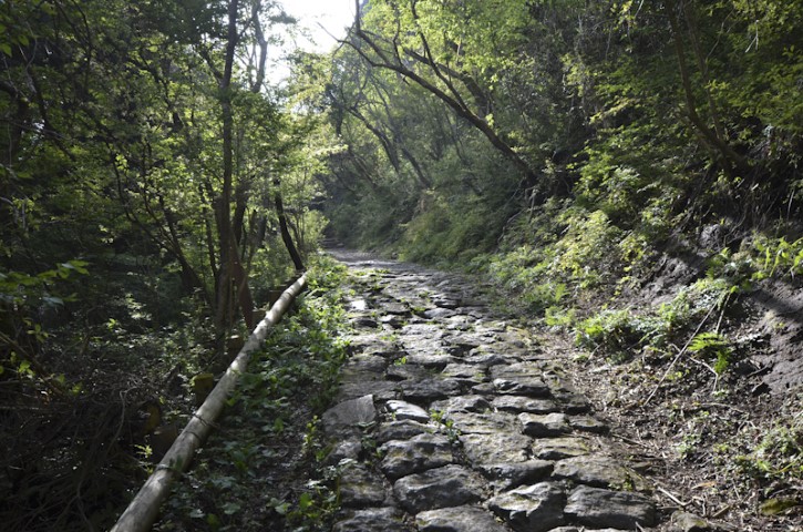 The Old Tokaido Highway