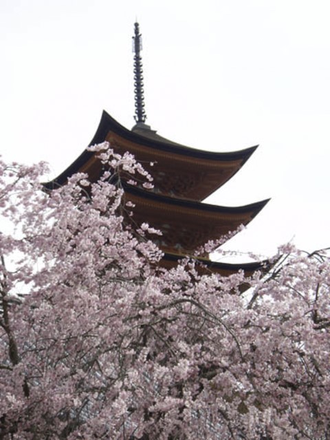 Pagoda, Miyajima