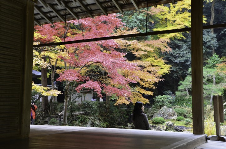 Temple Garden, Kyoto