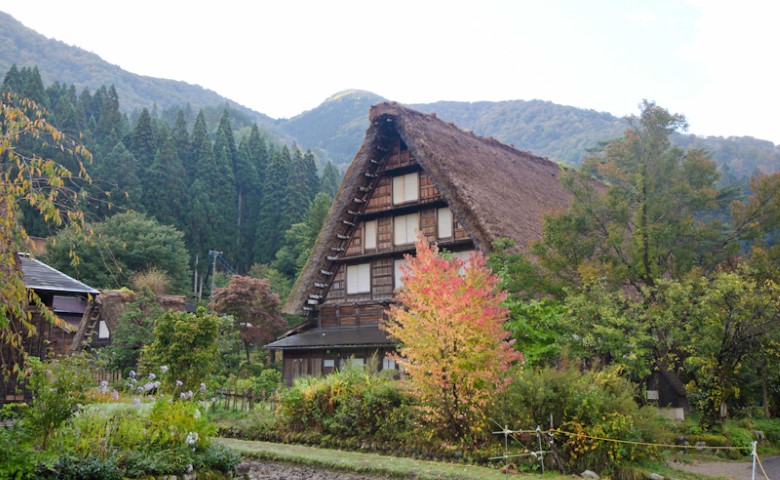 Thatched houses, Shirakawa-go
