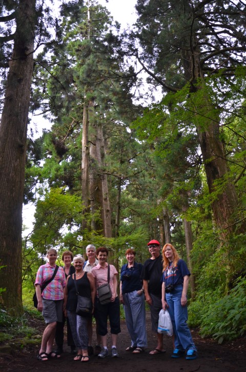 Group photo, Hakone Cedar Avenue 