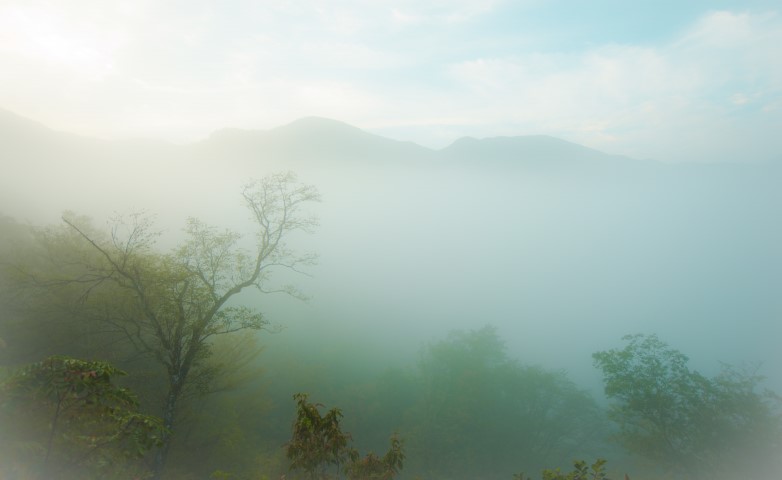 Morning mist in Japan