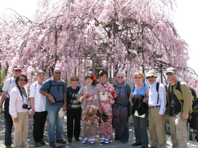 Spring tour blossoms Japan